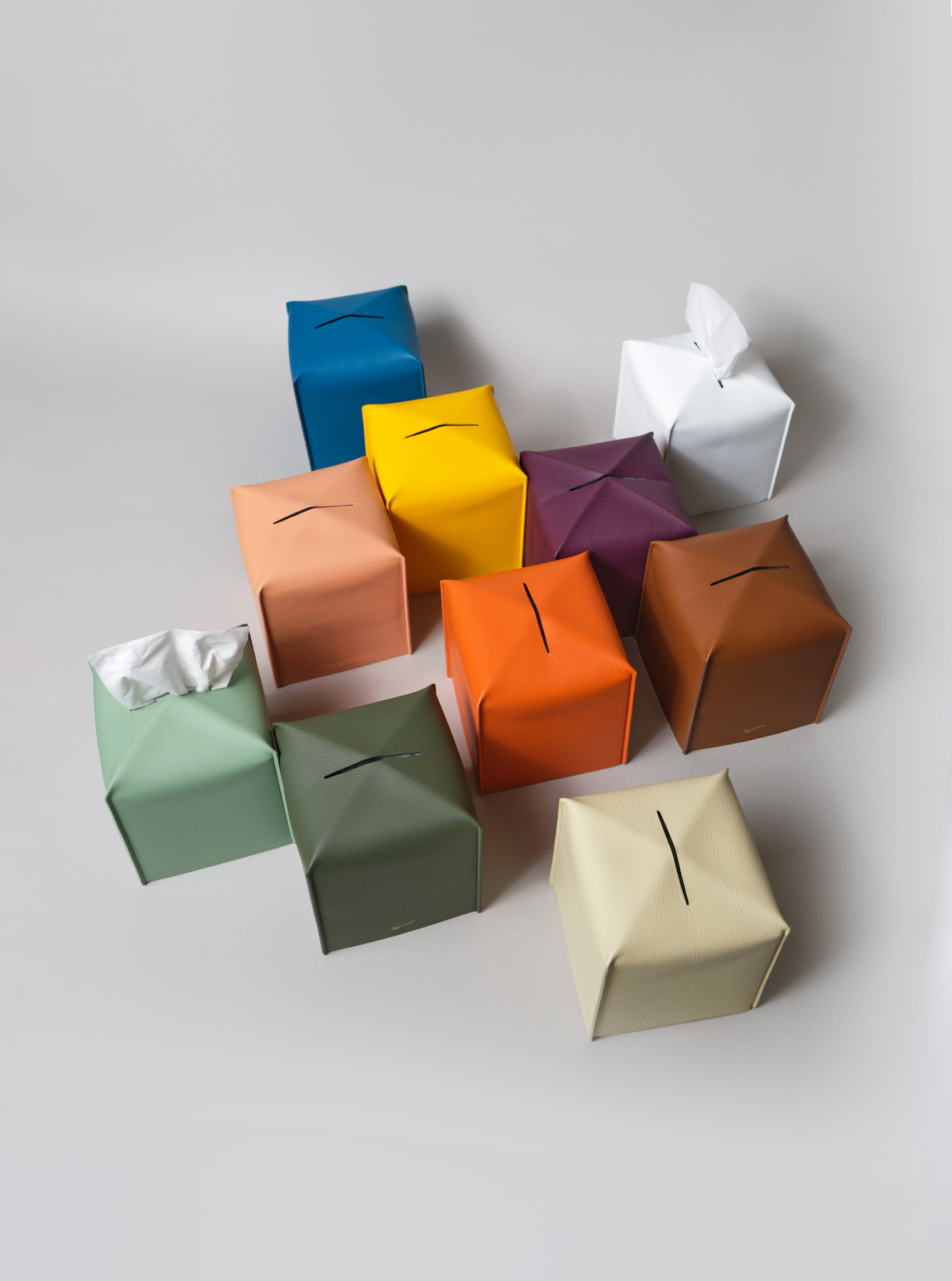 Tissue Case